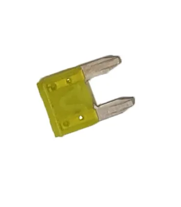Fusible 20 Amp